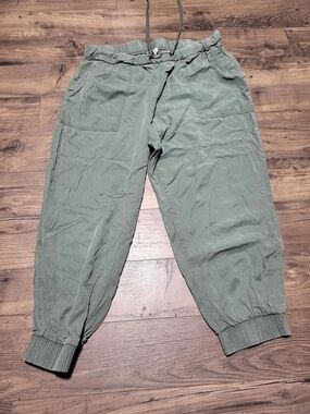 Universal Thread Men's Jogger Pants in Green XXL Like New